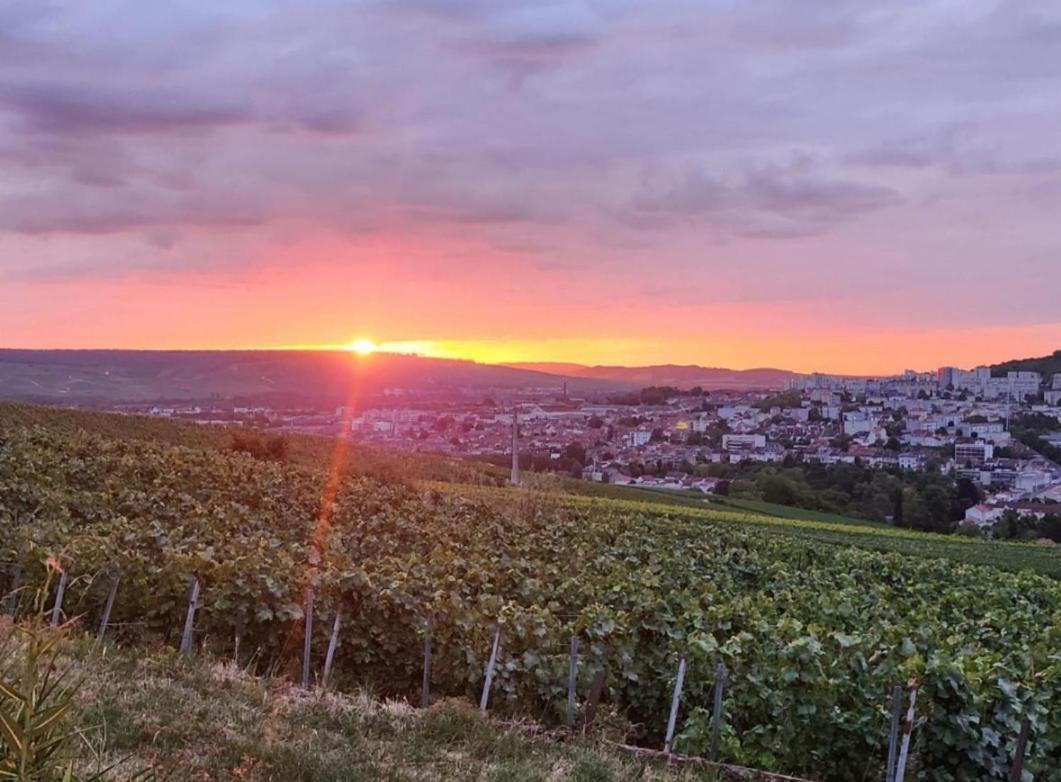 Dans Les Vignes D'Epernay, Maison Avec Vue Spectaculaire المظهر الخارجي الصورة