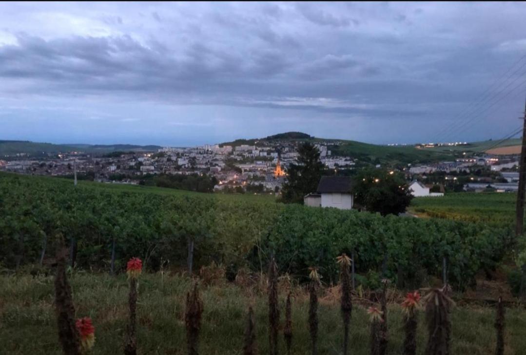 Dans Les Vignes D'Epernay, Maison Avec Vue Spectaculaire المظهر الخارجي الصورة